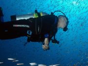 Scuba review