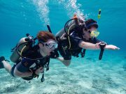 Two scuba divers underwater wearing full diving gear including masks, snorkels, and oxygen tanks, swimming side by side near the ocean floor with clear blue water surrounding them.