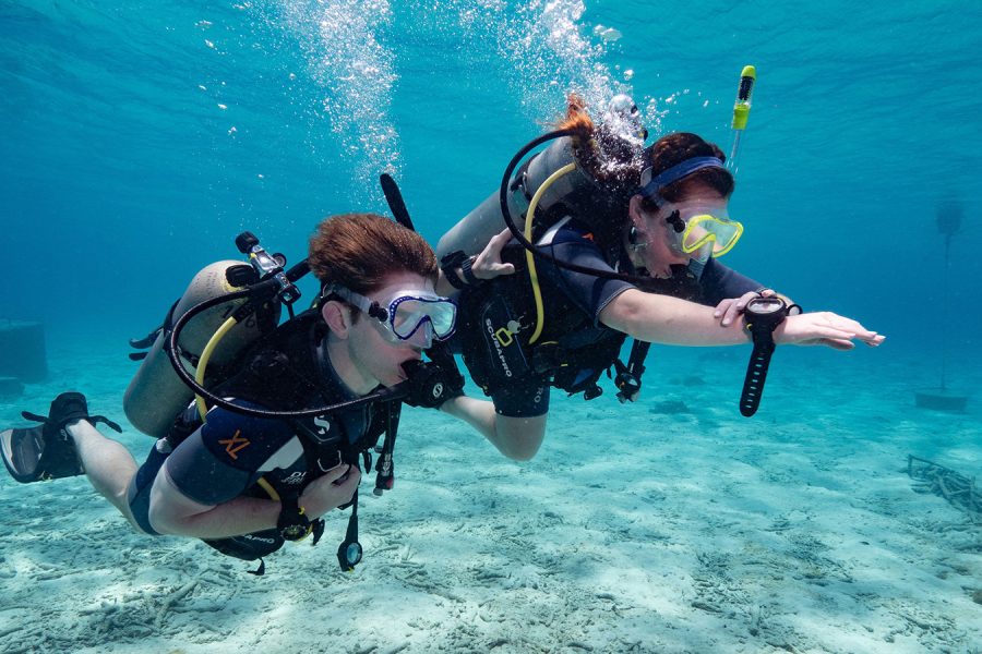 Discover Scuba Diving