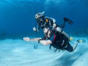 Open Water Diver Course