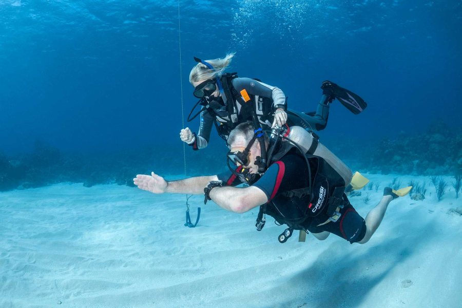 Open Water Diver Course