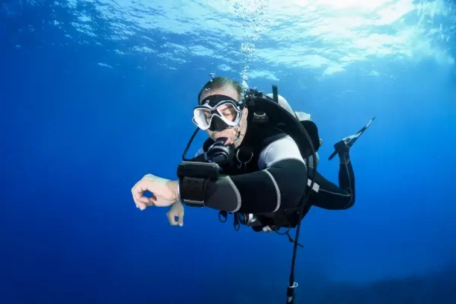 Divemaster Courses