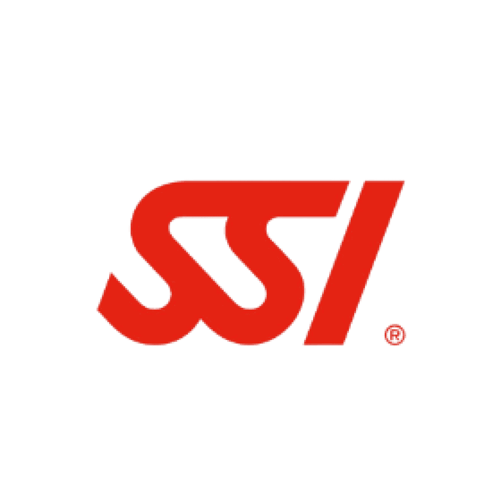 SSI LOGO