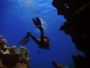 A scuba diver with red gear exploring vibrant coral reefs underwater in clear blue ocean water.