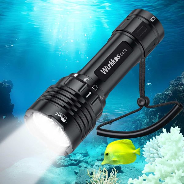 dive torch