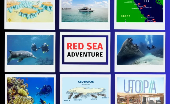 red sea adventure