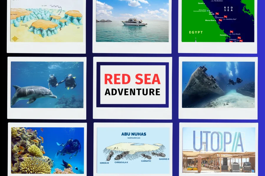 red sea adventure