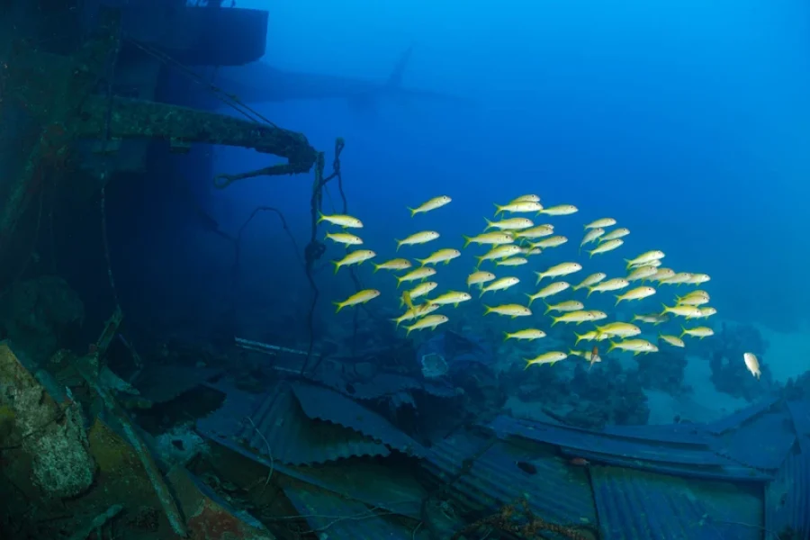 Wreck diver course