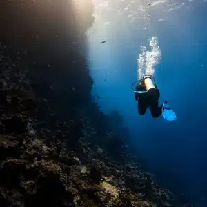 adventure diver