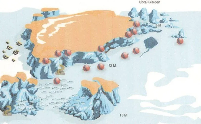 red sea dive site Abu-Ramada