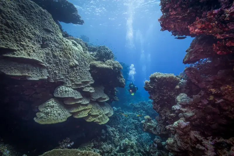 St. John’s Reefs dive site