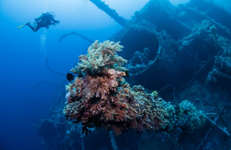 Red Sea dive site brothers island