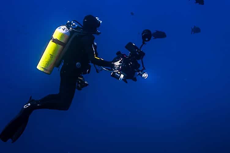 learn underwater photography