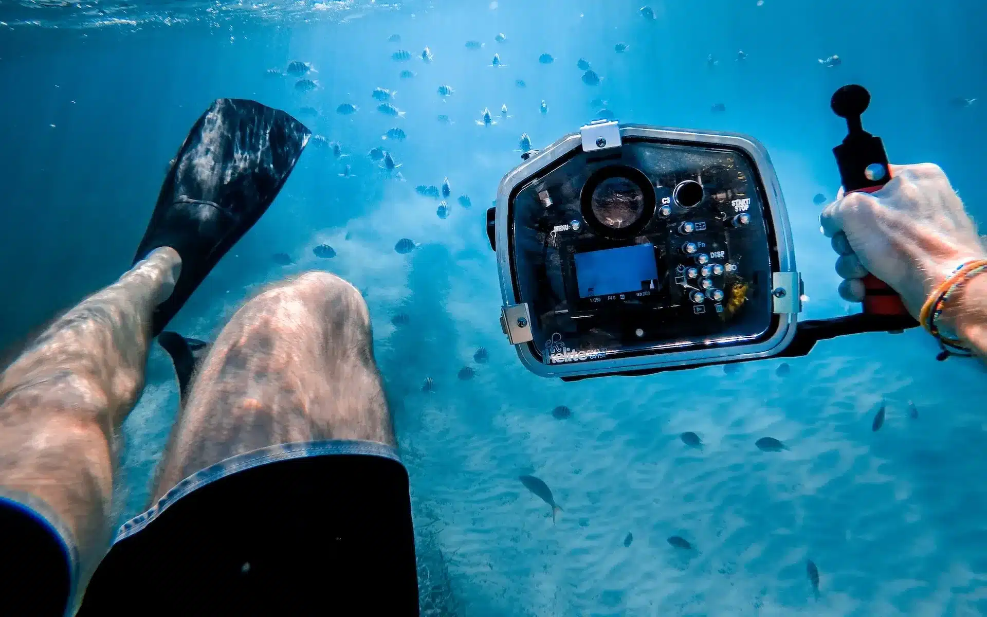 Capture the Perfect Underwater Photos in the Red Sea