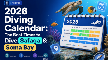 2026 Diving Calendar: The Best Times to Dive Safaga & Soma Bay