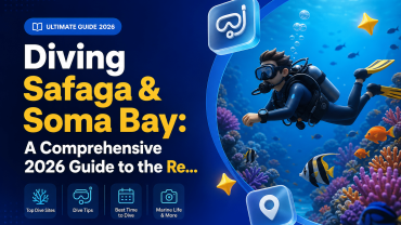 Diving Safaga & Soma Bay: A Comprehensive 2026 Guide to the Red Sea’s Pearl Dives