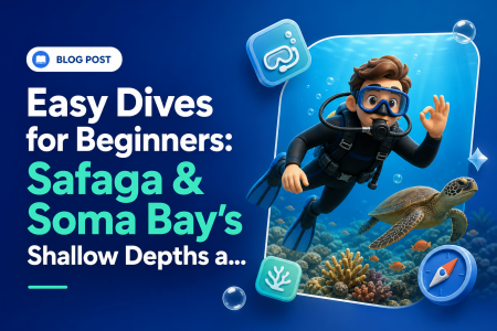 Easy Dives for Beginners: Safaga & Soma Bay’s Shallow Depths and Calm Waters