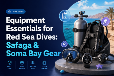 Equipment Essentials for Red Sea Dives: Safaga & Soma Bay Gear