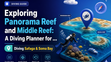 Exploring Panorama Reef and Middle Reef: A Diving Planner for Safaga & Soma Bay