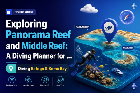 Exploring Panorama Reef and Middle Reef: A Diving Planner for Safaga & Soma Bay