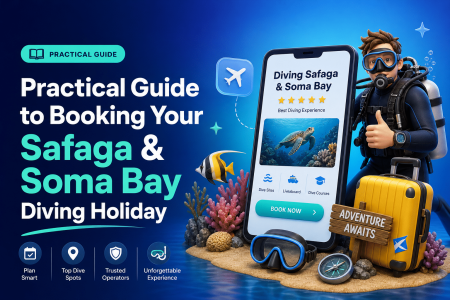 Practical Guide to Booking Your Safaga & Soma Bay Diving Holiday