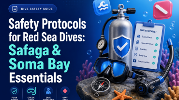 Safety Protocols for Red Sea Dives: Safaga & Soma Bay Essentials