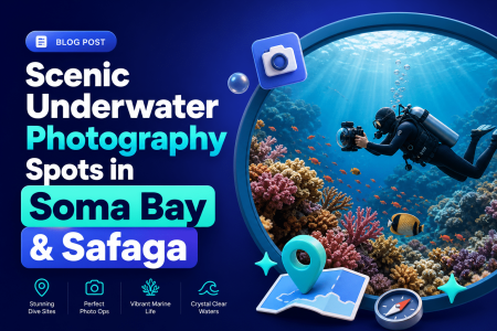 Scenic Underwater Photography Spots in Soma Bay & Safaga