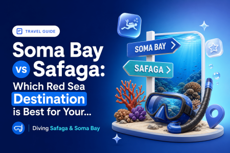 Soma Bay vs Safaga: Which Red Sea Destination is Best for Your Dive Trip